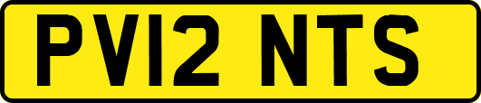 PV12NTS