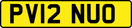 PV12NUO