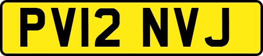 PV12NVJ