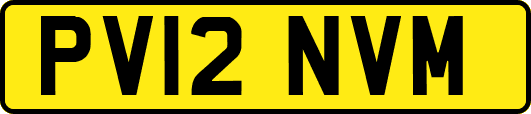 PV12NVM