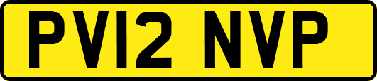 PV12NVP