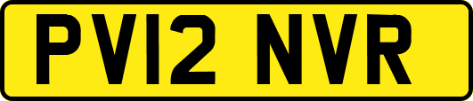 PV12NVR