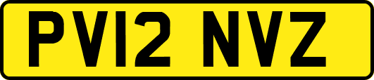 PV12NVZ