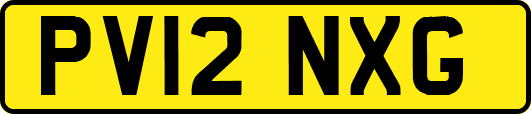 PV12NXG