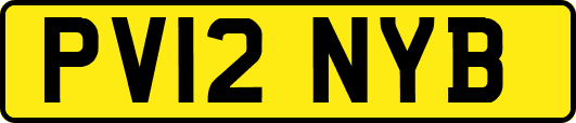 PV12NYB
