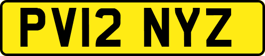 PV12NYZ