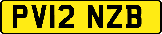 PV12NZB