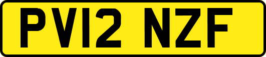 PV12NZF