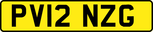 PV12NZG