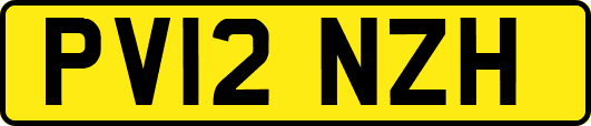 PV12NZH