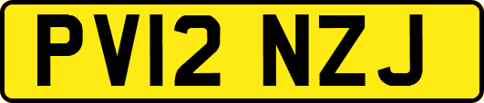 PV12NZJ
