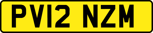 PV12NZM