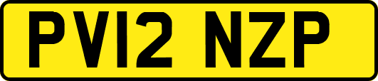 PV12NZP