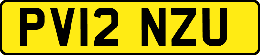 PV12NZU