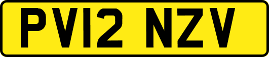 PV12NZV