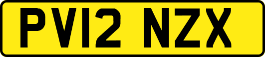 PV12NZX