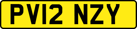 PV12NZY