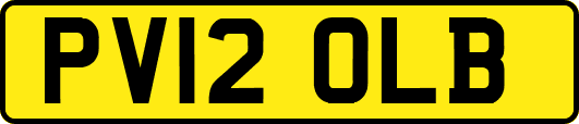 PV12OLB