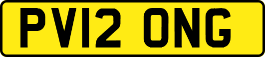PV12ONG