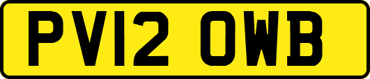 PV12OWB