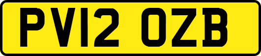 PV12OZB