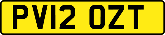 PV12OZT