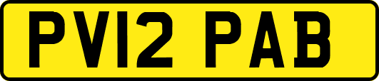 PV12PAB