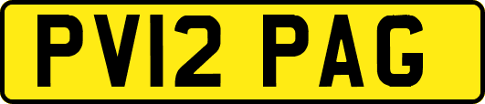 PV12PAG