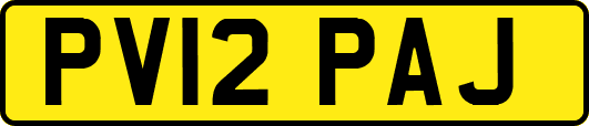 PV12PAJ