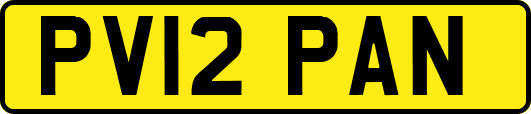 PV12PAN