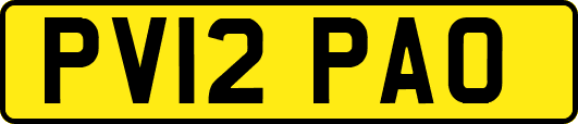 PV12PAO