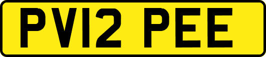 PV12PEE