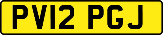 PV12PGJ