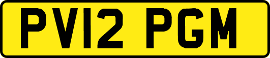PV12PGM