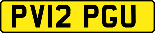 PV12PGU