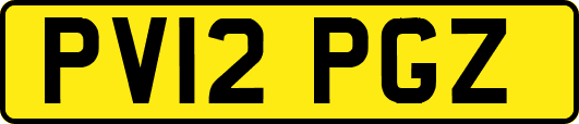 PV12PGZ