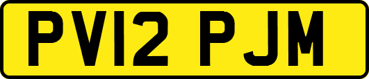 PV12PJM