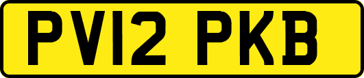 PV12PKB