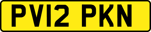 PV12PKN