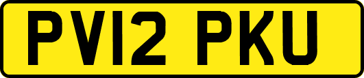 PV12PKU