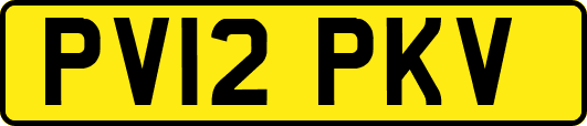 PV12PKV