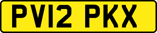 PV12PKX