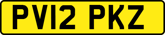 PV12PKZ