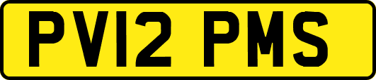 PV12PMS