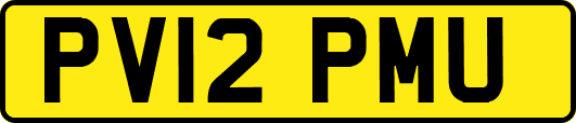 PV12PMU