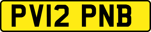 PV12PNB
