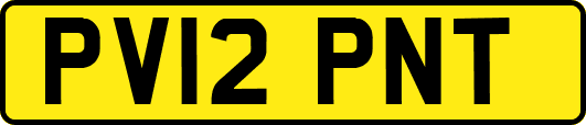 PV12PNT