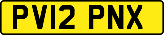 PV12PNX