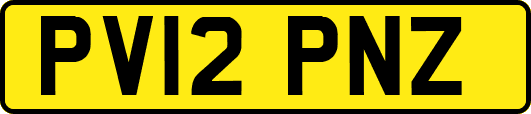 PV12PNZ