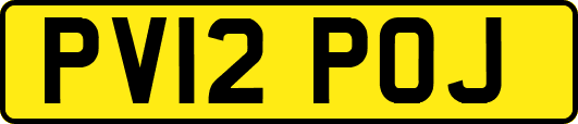 PV12POJ